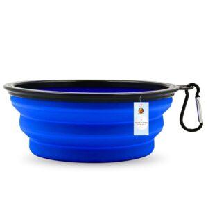 Foldable Travel Bowl